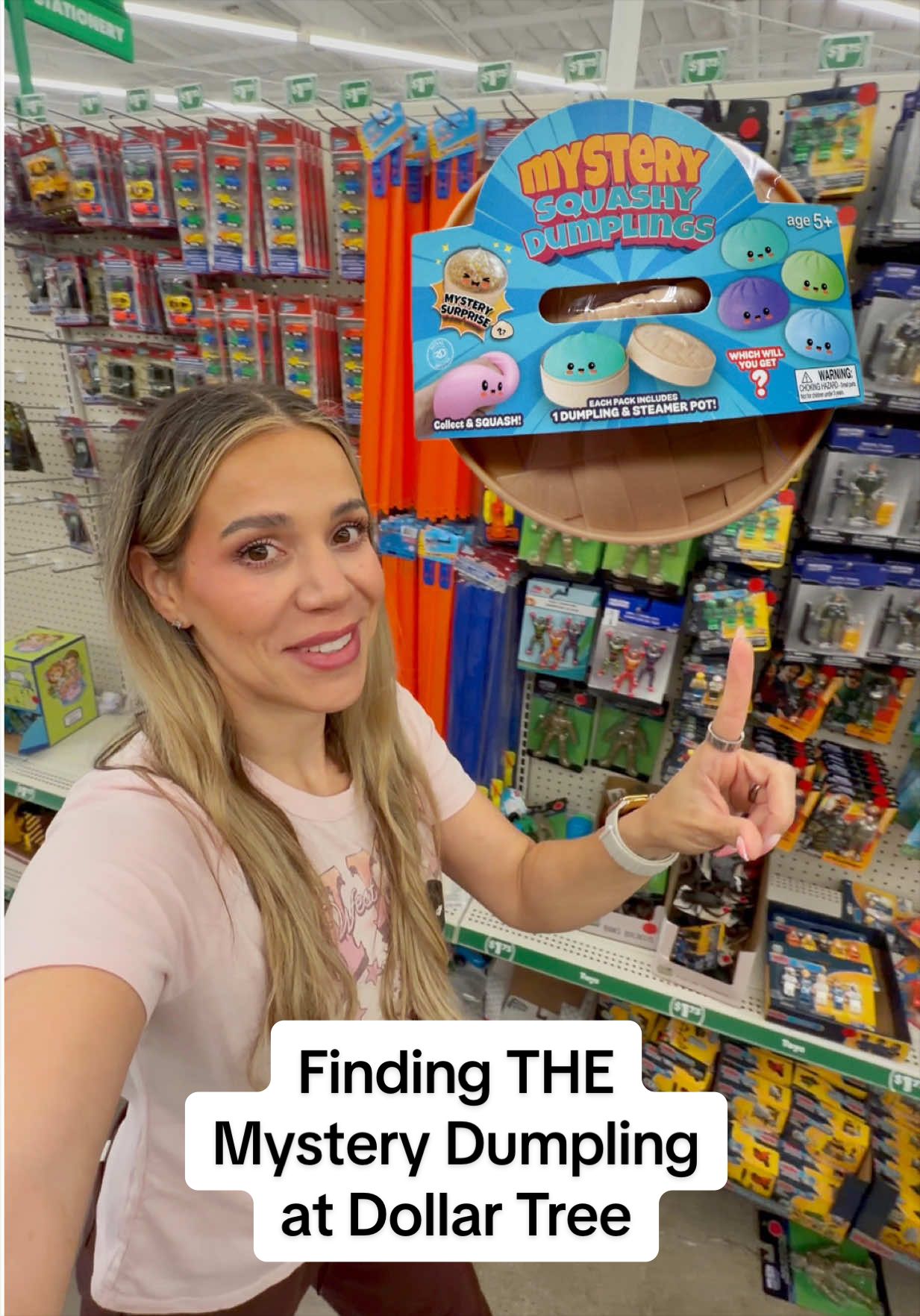 🌟 WE FOUND IT! What an awesome squishy day to find the MYSTERY @Dollar Tree dum